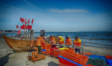 Ostseebad Binz Fischerboot Heringe